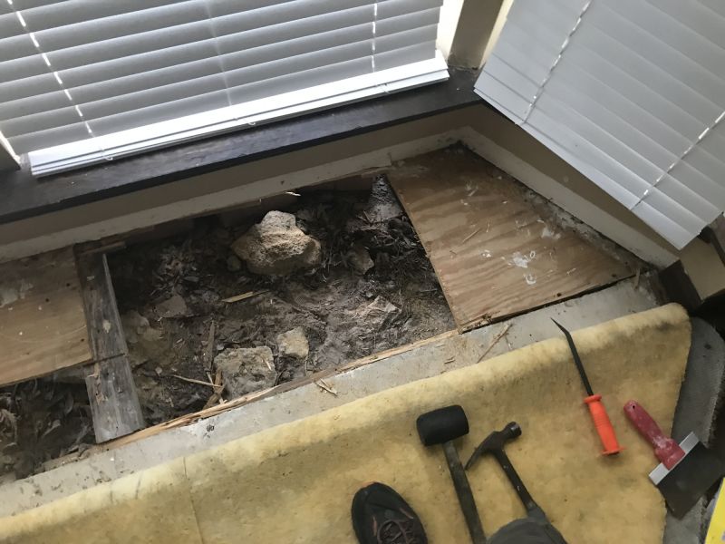 Rotten Floor Repair