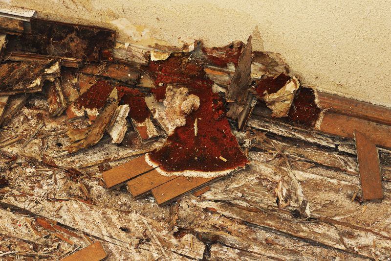 Rotten Floor Repair detail